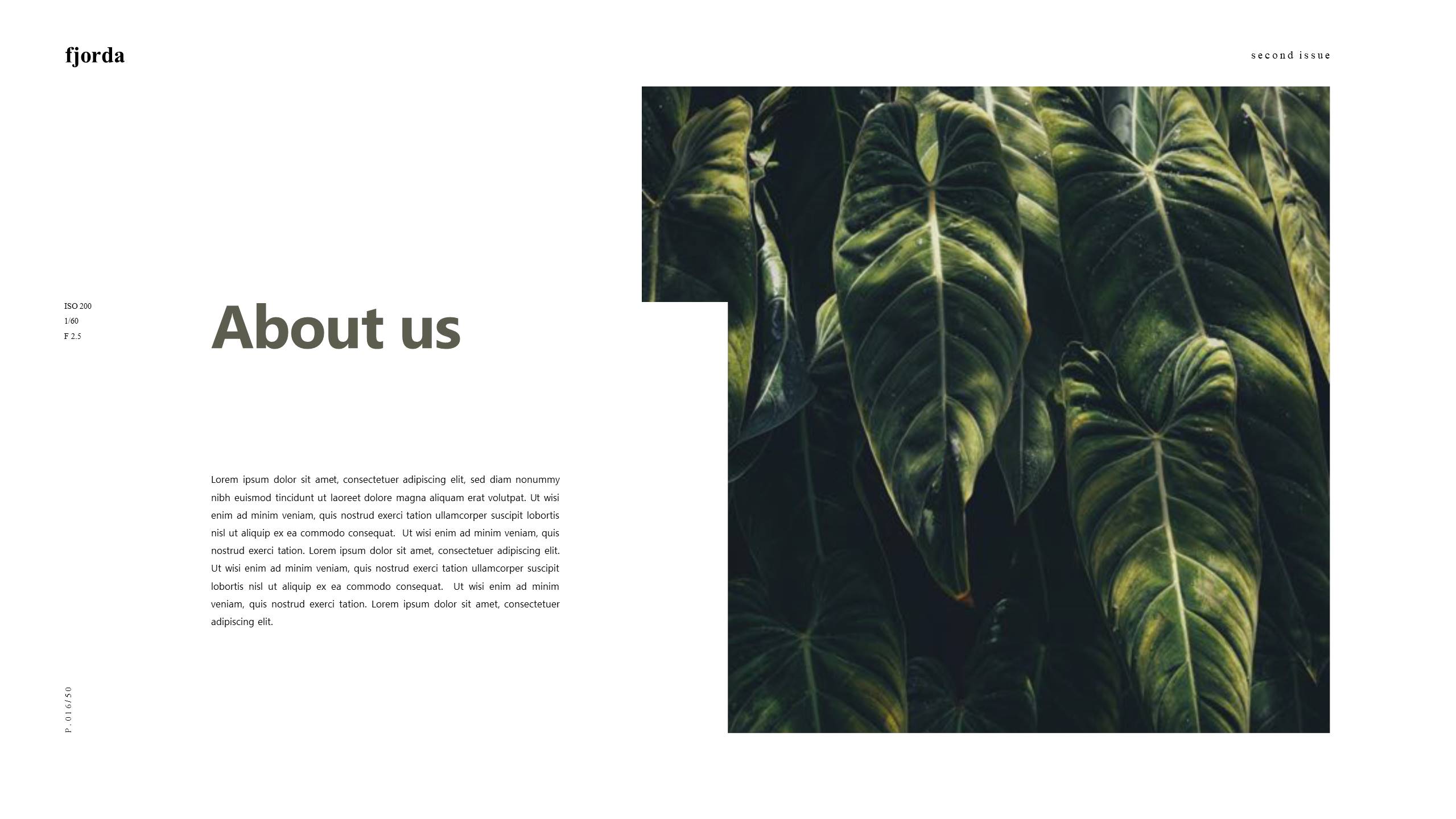 时尚风格 (5).pptx